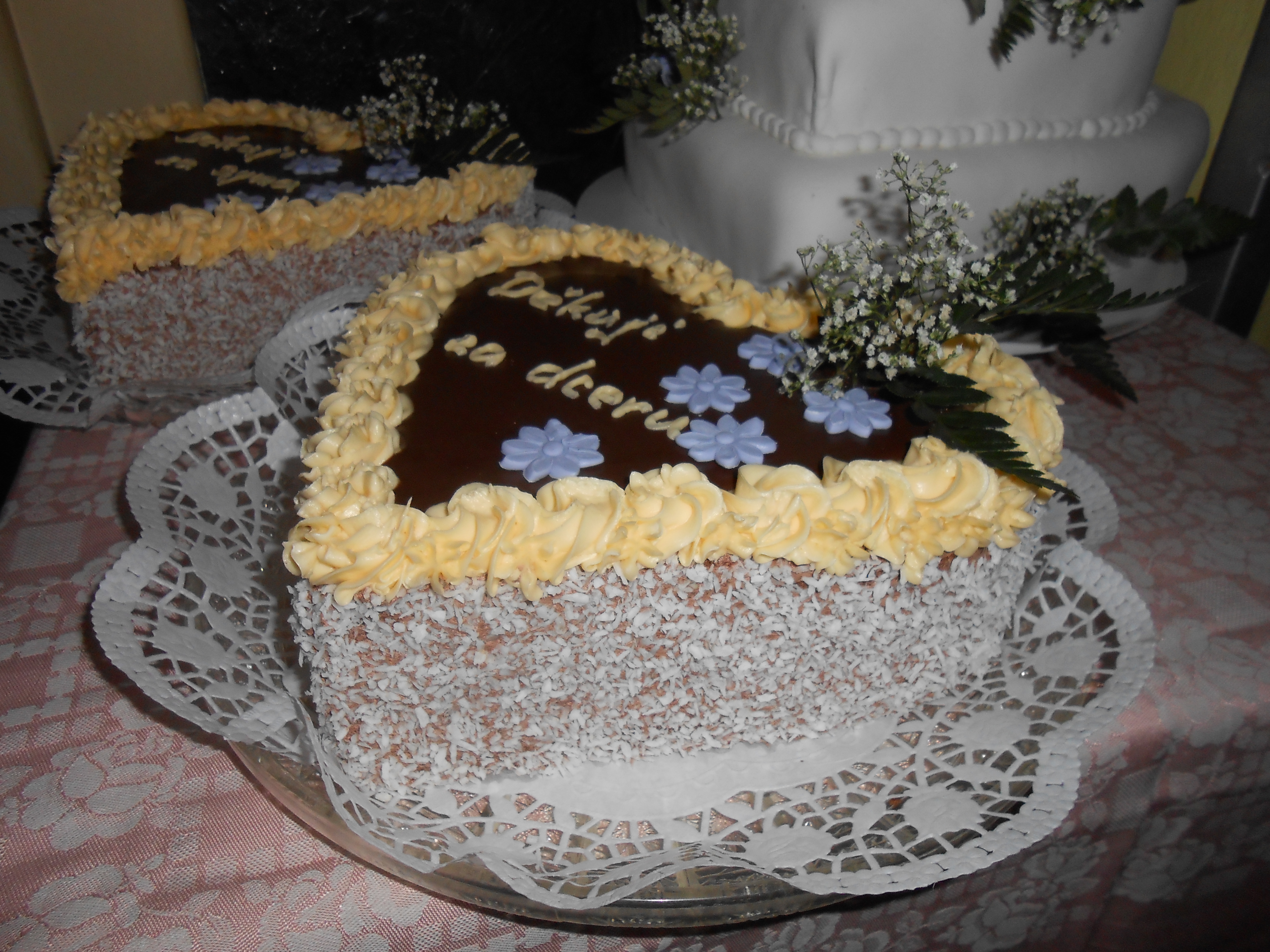 DSCN0204