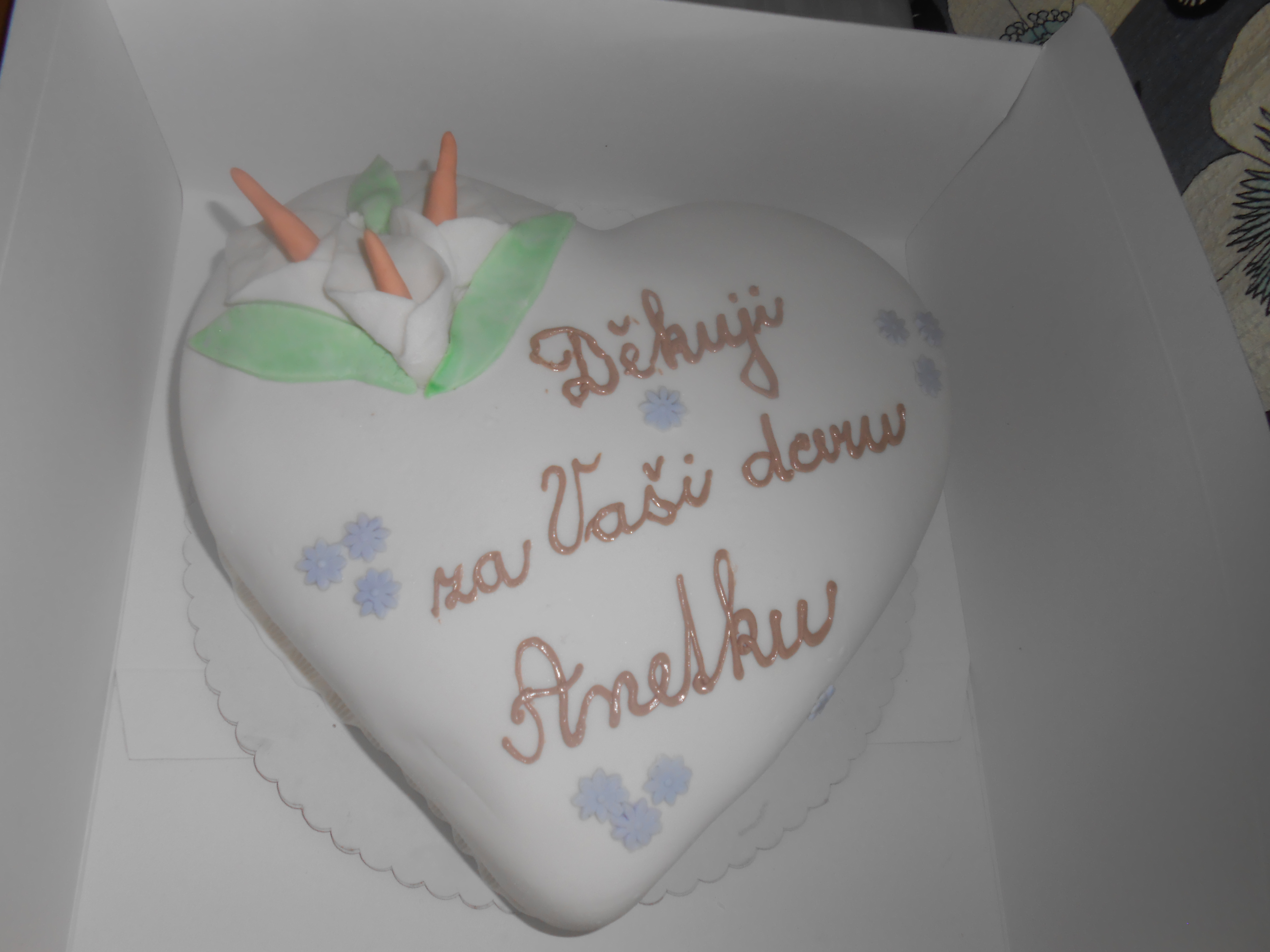 DSCN1266
